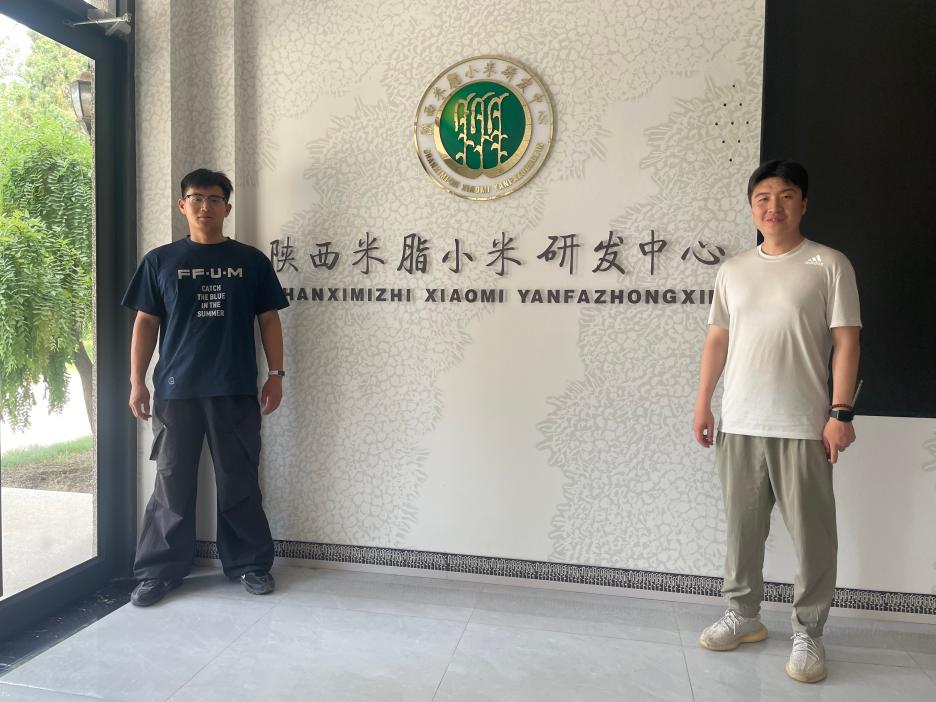 百家乐规则