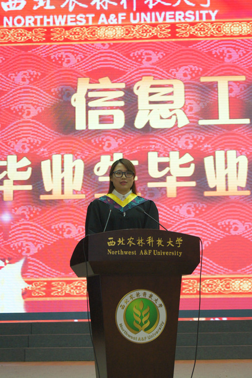 百家乐规则