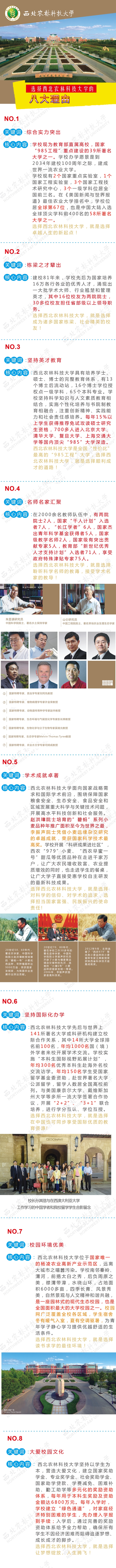 百家乐规则