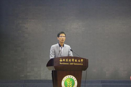 百家乐规则