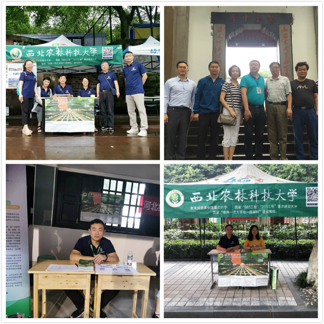 百家乐规则